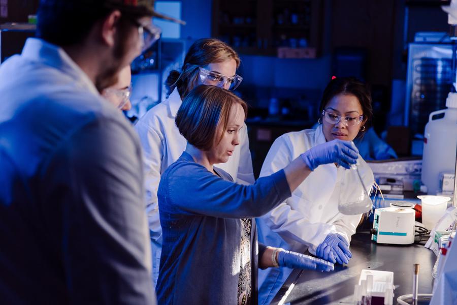 在生物实验室工作的学生